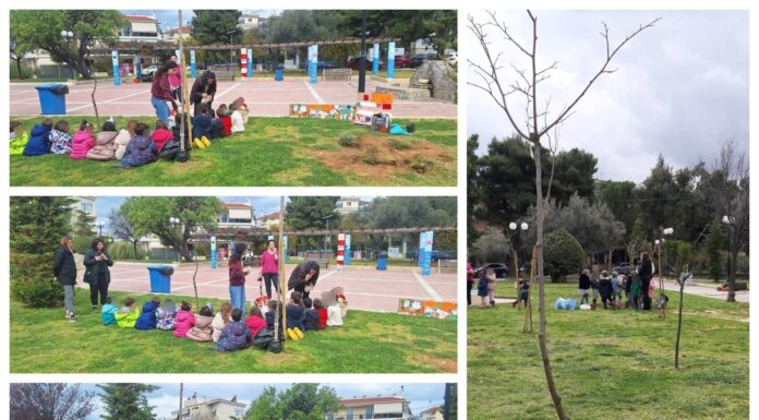 Φύτευση θάμνων στην πλατεία Ελευθερίας με τη συμμετοχή μαθητών Home