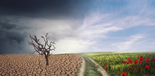 Γιατί βαριόμαστε τα πάντα πια; Home