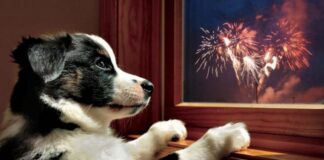 Καλό Πάσχα με σεβασμό και φροντίδα για όλους