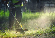 Υποχρεωτικός καθαρισμός οικοπέδων και υποβολή δήλωσης καθαρισμού από τους ιδιοκτήτες ενόψει της αντιπυρικής περιόδου 2026