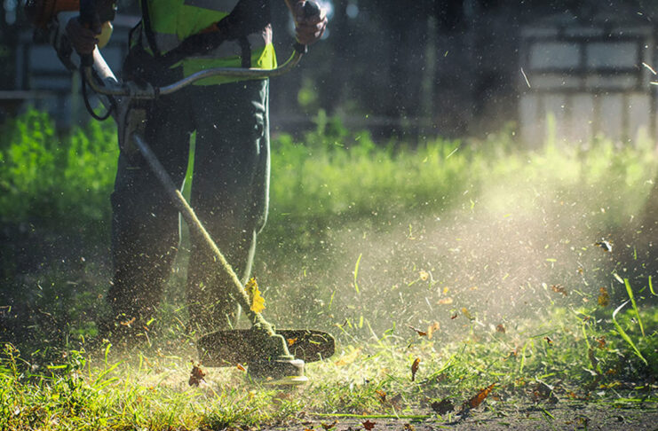 Υποχρεωτικός καθαρισμός οικοπέδων και υποβολή δήλωσης καθαρισμού από τους ιδιοκτήτες ενόψει της αντιπυρικής περιόδου 2026 Home
