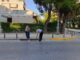 Επαναλαμβανόμενες δράσεις για την καταπολέμηση των κουνουπιών στα Βριλήσσια Home