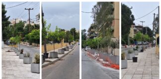 Φύτευση νέων δέντρων στην οδό Βρυούλων Home