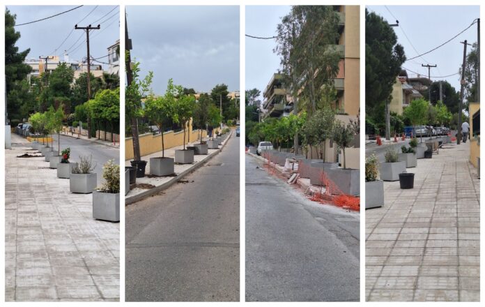 Φύτευση νέων δέντρων στην οδό Βρυούλων_6a0595979819a.jpeg