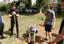 Με επιτυχία ολοκληρώθηκε η 3η δράση φύτευσης «Act Green» στο 2ο Λύκειο Αμαρουσίου από το Forum Νέων.