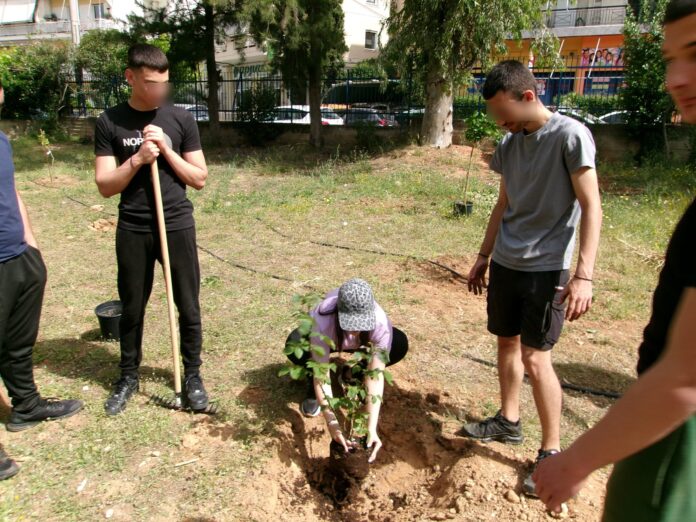 Με επιτυχία ολοκληρώθηκε η 3η δράση φύτευσης «Act Green» στο 2ο Λύκειο Αμαρουσίου από το Forum Νέων._6a16abb24166b.jpeg