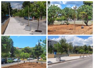 Νέες φυτεύσεις δέντρων στην Άνω Πεύκη Home