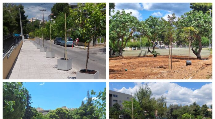 Νέες φυτεύσεις δέντρων στην Άνω Πεύκη Home