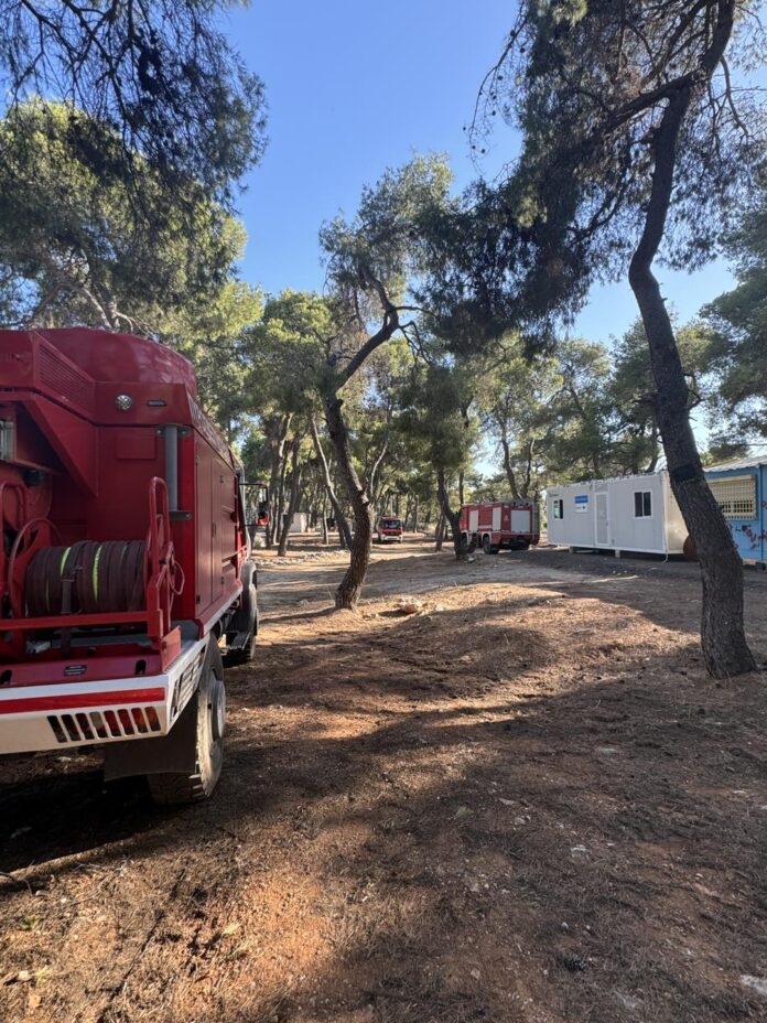 Συνάντηση εργασίας του Δημάρχου Κηφισιάς Β. Ξυπολυτά με στελέχη ΑΔΜΗΕ & ΔΕΔΔΗΕ για την αντιπυρική περίοδο_6a11602c6cdd0.jpeg