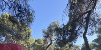 Συνάντηση εργασίας του Δημάρχου Κηφισιάς Β. Ξυπολυτά με στελέχη ΑΔΜΗΕ & ΔΕΔΔΗΕ για την αντιπυρική περίοδο Home
