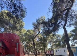 Συνάντηση εργασίας του Δημάρχου Κηφισιάς Β. Ξυπολυτά με στελέχη ΑΔΜΗΕ & ΔΕΔΔΗΕ για την αντιπυρική περίοδο Home