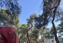 Συνάντηση εργασίας του Δημάρχου Κηφισιάς Β. Ξυπολυτά με στελέχη ΑΔΜΗΕ & ΔΕΔΔΗΕ για την αντιπυρική περίοδο