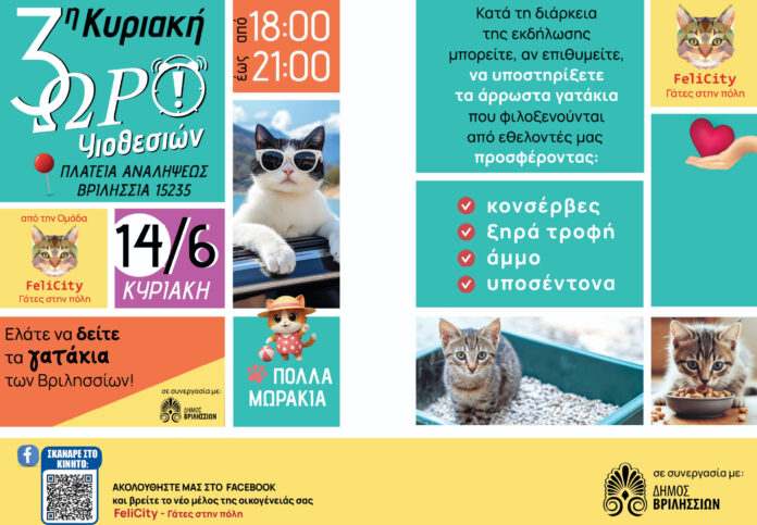 Γιορτή Υιοθεσίας: Τα αδέσποτα γατάκια των Βριλησσίων αναζητούν οικογένεια_6a298d31e2829.jpeg