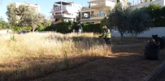 Υποχρεωτικός ο καθαρισμός οικοπεδικών και λοιπών ακάλυπτων χώρων από την 1η Απριλίου έως τη 15η Ιουνίου -> Παράταση έως την 22η Ιουνίου του τρέχοντος έτους και η συντήρησή τους έως 31 Οκτωβρίου – λήξη αντιπυρικής περιόδου Home