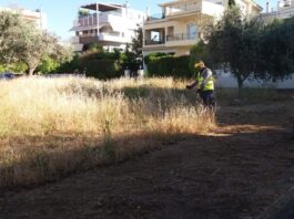 Υποχρεωτικός ο καθαρισμός οικοπεδικών και λοιπών ακάλυπτων χώρων από την 1η Απριλίου έως τη 15η Ιουνίου -> Παράταση έως την 22η Ιουνίου του τρέχοντος έτους και η συντήρησή τους έως 31 Οκτωβρίου – λήξη αντιπυρικής περιόδου Home