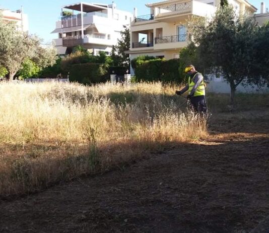 Υποχρεωτικός ο καθαρισμός οικοπεδικών και λοιπών ακάλυπτων χώρων από την 1η Απριλίου έως τη 15η Ιουνίου -> Παράταση έως την 22η Ιουνίου του τρέχοντος έτους και η συντήρησή τους έως 31 Οκτωβρίου – λήξη αντιπυρικής περιόδου Home