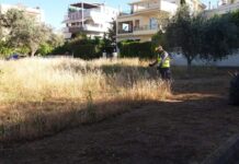 Υποχρεωτικός ο καθαρισμός οικοπεδικών και λοιπών ακάλυπτων χώρων από την 1η Απριλίου έως τη 15η Ιουνίου -> Παράταση έως την 22η Ιουνίου του τρέχοντος έτους και η συντήρησή τους έως 31 Οκτωβρίου – λήξη αντιπυρικής περιόδου