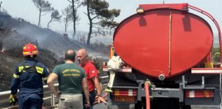 Επιχειρησιακή κινητοποίηση της Πολιτικής Προστασίας για την αντιμετώπιση πυρκαγιάς σε χαμηλή βλάστηση στην περιοχή των Αφιδνών