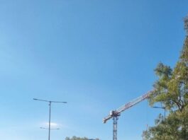 Με αμείωτους ρυθμούς συνεχίζεται το εντατικό θερινό πρόγραμμα συντήρησης πρασίνου και ευπρεπισμού στις γειτονιές του Αμαρουσίου Home