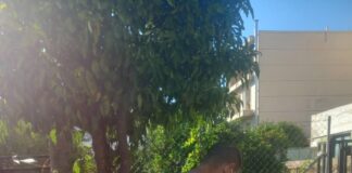 Άμεση ενεργοποίηση των προβλεπόμενων μέτρων από τον Δήμο Αμαρουσίου μετά από επιβεβαιωμένο κρούσμα του ιού του Δυτικού Νείλου Home