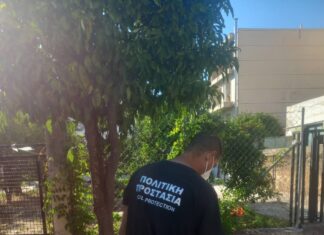 Άμεση ενεργοποίηση των προβλεπόμενων μέτρων από τον Δήμο Αμαρουσίου μετά από επιβεβαιωμένο κρούσμα του ιού του Δυτικού Νείλου Home