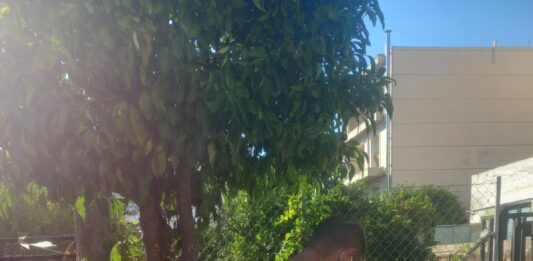Άμεση ενεργοποίηση των προβλεπόμενων μέτρων από τον Δήμο Αμαρουσίου μετά από επιβεβαιωμένο κρούσμα του ιού του Δυτικού Νείλου Home