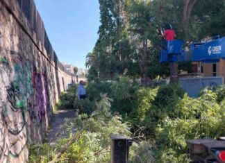 Δήμος Αμαρουσίου: Εκτεταμένες παρεμβάσεις καθαρισμού και συντήρησης πρασίνου στις οδούς Νερατζιωτίσσης και Αγίων Αναργύρων, 28ης Οκτωβρίου και στην περιοχή των σχολείων στο Ζεκάκειο Home