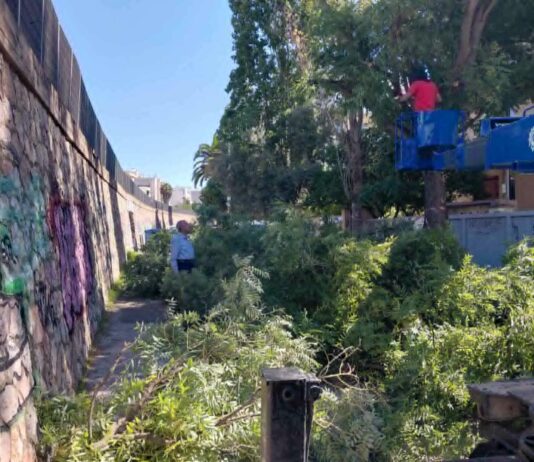 Δήμος Αμαρουσίου: Εκτεταμένες παρεμβάσεις καθαρισμού και συντήρησης πρασίνου στις οδούς Νερατζιωτίσσης και Αγίων Αναργύρων, 28ης Οκτωβρίου και στην περιοχή των σχολείων στο Ζεκάκειο Home