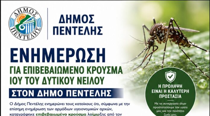 Ενημέρωση για επιβεβαιωμένο κρούσμα ιού του Δυτικού Νείλου Home