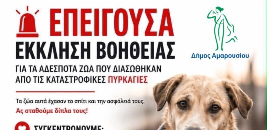 ΕΠΕΙΓΟΥΣΑ ΕΚΚΛΗΣΗ ΒΟΗΘΕΙΑΣ ΓΙΑ ΤΑ ΑΔΕΣΠΟΤΑ ΖΩΑ ΠΟΥ ΔΙΑΣΩΘΗΚΑΝ ΑΠΟ ΤΙΣ ΚΑΤΑΣΤΡΟΦΙΚΕΣ ΠΥΡΚΑΓΙΕΣ Home