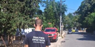 Ιός του Δυτικού Νείλου: Άμεση κινητοποίηση Δήμου Αμαρουσίου και Περιφέρειας Αττικής μετά την επιβεβαίωση κρούσματος Home