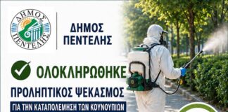 Ολοκληρώθηκε ο προληπτικός ψεκασμός για την καταπολέμηση των κουνουπιών Home