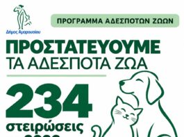 Δήμος Αμαρουσίου: Ενισχύεται το πρόγραμμα προστασίας των αδέσποτων ζώων – 234 στειρώσεις το 2026 και στόχος οι 700 έως το τέλος του έτους Home