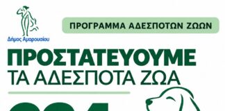 Δήμος Αμαρουσίου: Ενισχύεται το πρόγραμμα προστασίας των αδέσποτων ζώων – 234 στειρώσεις το 2026 και στόχος οι 700 έως το τέλος του έτους Home