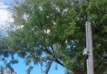 Δήμος Αμαρουσίου: Συνεχίζεται το πρόγραμμα συντήρησης πρασίνου και ευπρεπισμού στις γειτονιές της πόλης
