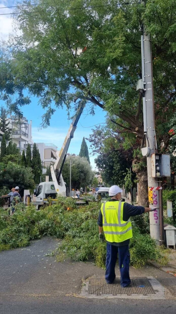 Δήμος Αμαρουσίου: Συνεχίζεται το πρόγραμμα συντήρησης πρασίνου και ευπρεπισμού στις γειτονιές της πόλης_6ab13fcf73aab.jpeg