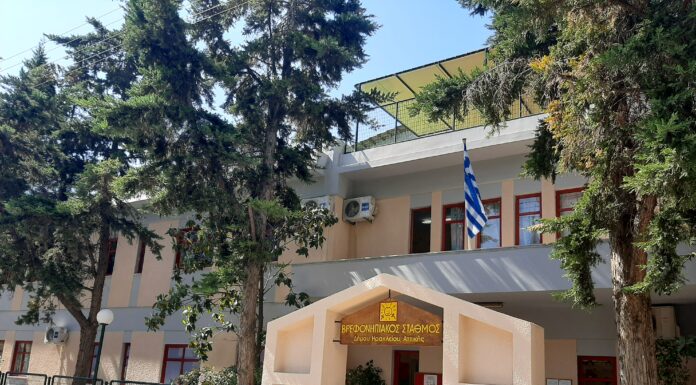 Ο Δήμος Ηρακλείου Αττικής οδηγεί στη μονιμοποίηση 64 εργαζομένους στους δημοτικούς βρεφονηπιακούς σταθμούς Home
