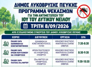 Πρόγραμμα εργασιών κουνουποκτονίας την Τρίτη 8/09/2026, από τον Δήμο Λυκόβρυσης – Πεύκης Home
