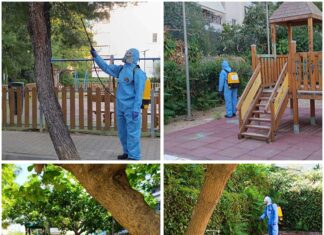 Συνεχίστηκε, σήμερα Δευτέρα 7/9/2026, το πρόγραμμα κουνουποκτονίας από τον Δήμο Λυκόβρυσης-Πεύκης Home