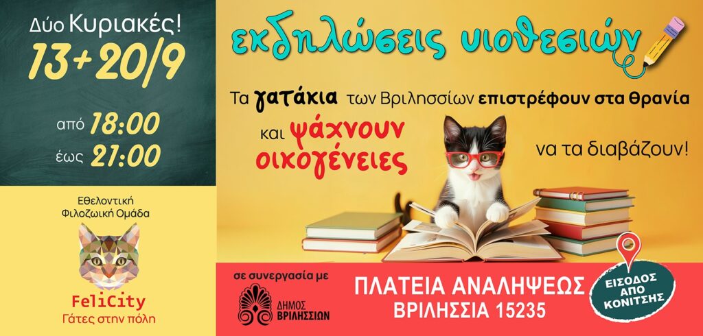 Τα γατάκια των Βριλησσίων… επιστρέφουν στα θρανία και ψάχνουν για ένα ζεστό σπιτικό! 7 Τα γατάκια των Βριλησσίων… επιστρέφουν στα θρανία και ψάχνουν για ένα ζεστό σπιτικό!