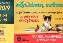 Τα γατάκια των Βριλησσίων… επιστρέφουν στα θρανία και ψάχνουν για ένα ζεστό σπιτικό!