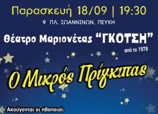Θέατρο μαριονέτας «Ο Μικρός Πρίγκιπας» από τον Δήμο Λυκόβρυσης–Πεύκης στην Πλατεία Ιωαννίνων Home