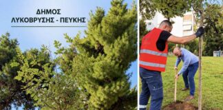 Νέες δενδροφυτεύσεις σε κάθε γειτονιά — Στόχος τα 1.000 βιώσιμα δέντρα έως το 2028 από τον Δήμο Λυκόβρυσης – Πεύκης