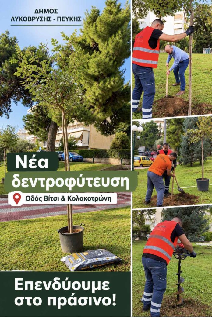 Νέες δενδροφυτεύσεις σε κάθε γειτονιά — Στόχος τα 1.000 βιώσιμα δέντρα έως το 2028 από τον Δήμο Λυκόβρυσης – Πεύκης_6ad9d754b5c04.jpeg