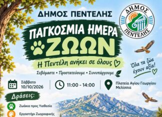Παγκόσμια Ημέρα Ζώων στον Δήμο Πεντέλης Home