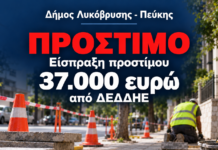 Σε επιβολή και είσπραξη προστίμου 37.000 ευρώ από τον ΔΕΔΔΗΕ για παραβάσεις στην αποκατάσταση κοινόχρηστων χώρων προχώρησε ο Δήμος Λυκόβρυσης – Πεύκης