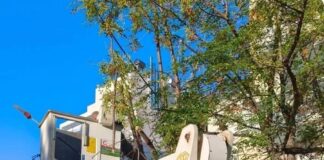 Συνεχίζονται οι δράσεις καθαριότητας, συντήρησης πρασίνου και ευπρεπισμού στις γειτονιές του Αμαρουσίου